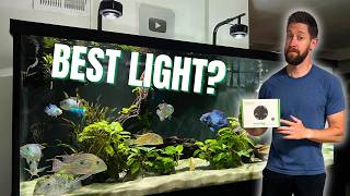 Kessil Tuna Sun A360XE Light  Unboxing Setup amp Review [upl. by Mellette688]