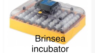 Brinsea incubator review Hatching eggs made easy [upl. by Ettennad]