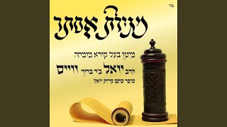 Megilla Brachos feat Harav Yoel Weiss [upl. by Herschel]