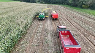 🌽🚜 Ensilage 2024 chez le GAEC de Bosneau 🚜🌽 [upl. by Thaddaus]