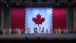 Canadian Cheer FaceOff 2015  Flyers Knockout [upl. by Nottus602]