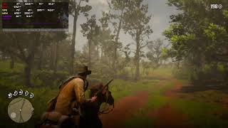 Red Dead Redemption 2  Melhor Configuração para RX 6650 XT  Desempenho Ideal 2K a 60fps [upl. by Reginald]