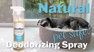 Deodorizer Spray thats 100 Natural Pet Friendly Solution shorts [upl. by Ennywg]