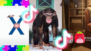 BEST FUNNY POV TIKTOK COMPILATION 2024 69 [upl. by Aneleairam564]