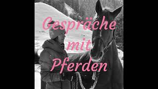 29 Wofür reiten wir Lektionen Einführende Lektionen Teil 3 [upl. by Haggar]