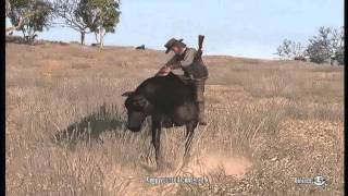 Red dead redemption how to get the best horse [upl. by Golliner]