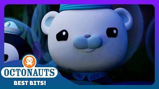 Octonauts  ☠️ All Aboard the Ghost Octopod Ship ⚓  Season 4  Best Bits [upl. by Tristan178]