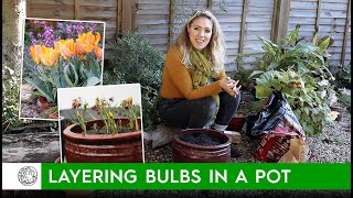 How to layer spring bulbs in a pot or container  FarmerGracycouk [upl. by Hoenack496]