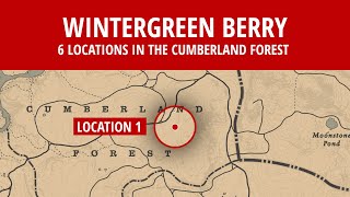 6 Wintergreen Berry Locations in Cumberland Forest [upl. by Yankee]