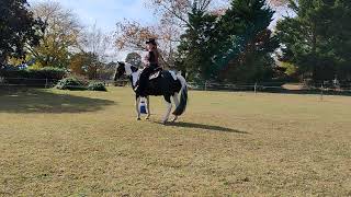 class 14 equitation rider19 Melinda Otey with serenade me under the stars [upl. by Osmond]