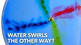 Does Water Swirl the Other Way in the Southern Hemisphere [upl. by Gunn]