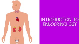 51 Introduction to Endocrinology [upl. by Ailak]