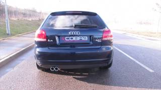 Cobra Sport Audi A3 20 TFSI Quattro Cat Back Performance Exhaust [upl. by Sadnalor]