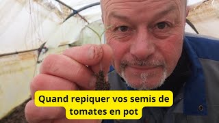 Quand repiquer vos semis de tomates [upl. by Artenehs197]