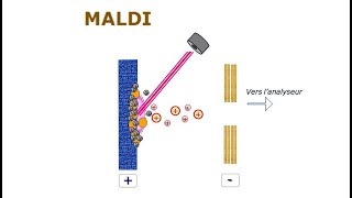 Spectrométrie de masse  05 Ionisation Laser Assistée par Matrice MALDI [upl. by Albion693]