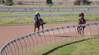 Cunnamulla 20240817 Race 4 [upl. by Natsuj]