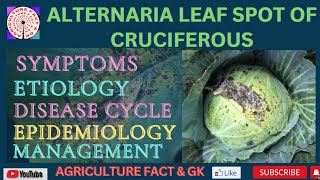 ALTERNARIA LEAF SPOT DISEASES OF CRUCIFEROUS VEGETABLES agriculturefactandgk [upl. by Euqininod]