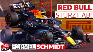 Verstappen dreht durch McLaren verhängt Stallregie  GP Ungarn Formel Schmidt 2024 [upl. by Oleic]