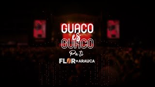 GUACO ES GUACO  Pa ti [upl. by Niras467]