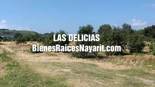 Las Delicias Terreno en venta Tepic Nayarit [upl. by Cotterell]