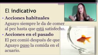 Class Videos with Dra B El subjuntivo en cláusulas adverbiales II CAMEL AND HATS [upl. by Ahsyak]