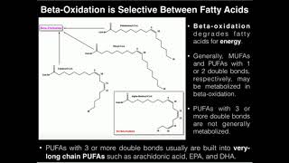 PUFAs BetaOxidation of Linoleic Acid 2 Double Bonds [upl. by Ozzy]