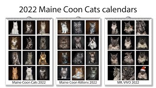 2022 Maine Coon Cats calendars by Felis Gallery [upl. by Edge]