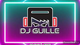 SET VERANO FIESTERO 23 DJ GUILLE [upl. by Nyrehtac]