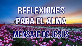 REFLEXIONES PARA EL ALMA  MENSAJE DE JESÚS [upl. by Aloel]