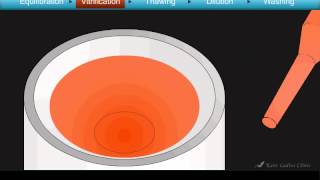 Cryotop Oocyte Vitrification Animation [upl. by Ennyletak]