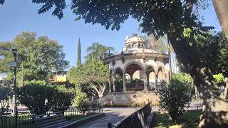 The Cuenca Gringo Trifecta Separator  Tlaquepaque Mexico [upl. by Hpeosj]