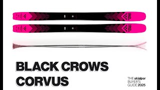 Black Crows Corvus review  The Skialper Buyers Guide 2025 [upl. by Ledairam]