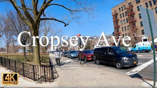 Walking Cropsey Ave Bath Beach Brooklyn [upl. by Suitangi]