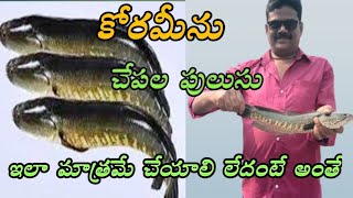 How To Make Koramenu Fish curry  Koramenu Fish Curry In Telugu  Fish  Karamchedu Village Cooking [upl. by Fox]