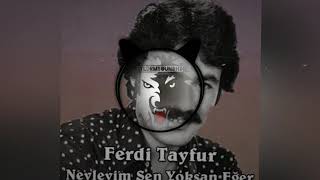 FERDi TAYFUR  NEYLEYiM SEN YOKSAN EGERRemix [upl. by Menashem955]