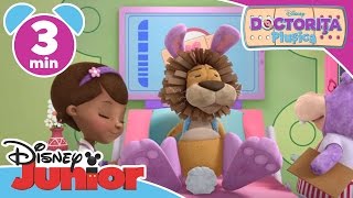 Doctorița Plușica – Leul Stanley Doar la Disney Junior [upl. by Amoeji]