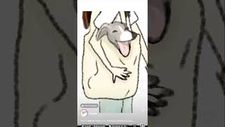 whippets cuteanimal puppy pettraining cutepetcutepuppy whippetpuppydogartist dogartisttips [upl. by Connelley]