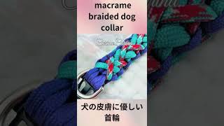 パラコードでマクラメ編み＃210 変則的ロープ刺し編み小型犬首輪 shorts macrame braided dog collar [upl. by Cynara]