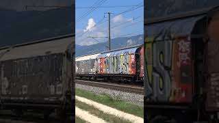 SBB Cargo Re420 348  Freight Train on the JurafoothLine 🇨🇭 train swissrailway [upl. by Meeharb69]