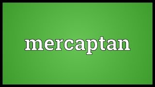 Mercaptan Meaning [upl. by Horlacher]