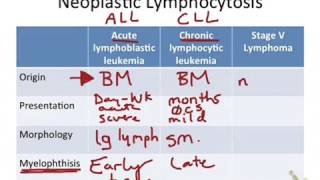 Neoplastic Lymphocytosis [upl. by Annav]