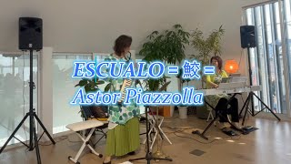 ESCUALO 鮫 Astor Piazzolla 鍵盤ハーモニカ [upl. by Frymire]