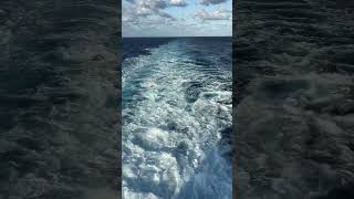 shorts Royal Caribbean Adventure of the Seas  Wake View Best View Engine Wash [upl. by Eisnyl]