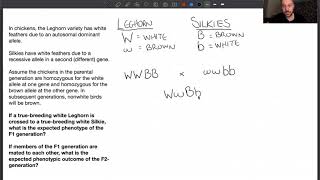 Solving epistasis problems [upl. by Selden]