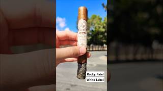 💨🔥 ROCKY PATEL White Label cigar cigars rockypatel cigarshow cigarlife shorts asmr [upl. by Aniez]