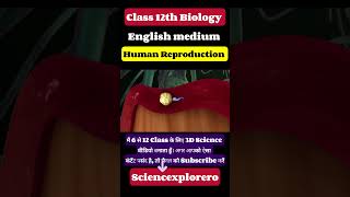 Human Reproduction  Class 12th  Biology ncert neet cbse [upl. by Nailuj]