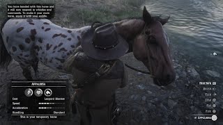 Red Dead Redemption 2  Taming the Leopard Blanket Appaloosa Horse [upl. by Boser]