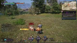 ThroneampLiberty Sword n Shield Gameplay [upl. by Ecilahs]