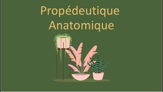 COURS 1 DANATOMIE Propédeutique Anatomique [upl. by Nishi]