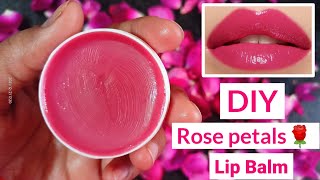 Make lipbalm with only 1 Ingredient  Rose lipbalm with coconut oil  Rose petals lip balm Lipbalm [upl. by Nnyre640]